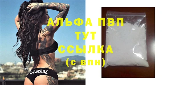 СК Белокуриха