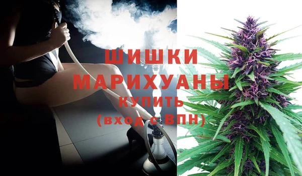 прущий лед Богданович