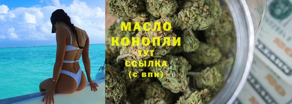прущий лед Богданович