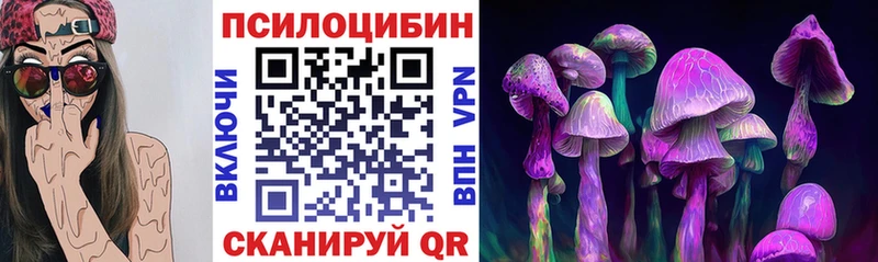 Галлюциногенные грибы Magic Shrooms Купить Гагарин