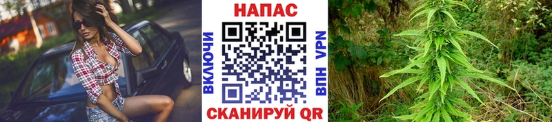 Канабис семена Гагарин